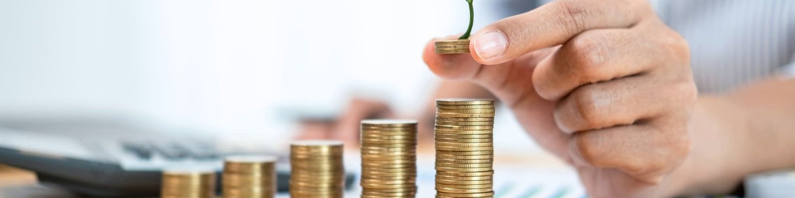 montones de monedas con una planta sobre una moneda